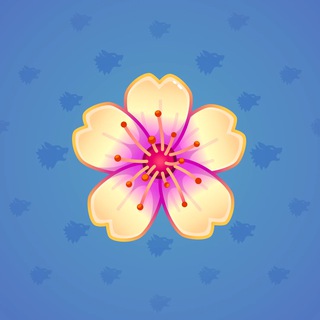 Sakura Flower #5706