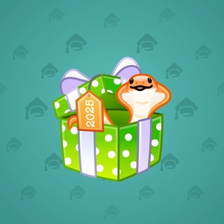Snake Box #56902