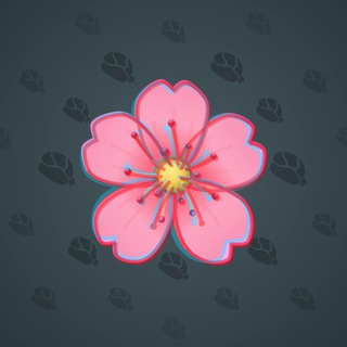 Sakura Flower #22714