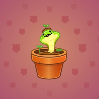 Snake Box #89715