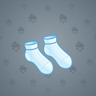 Fresh Socks #120882