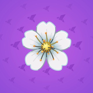 Sakura Flower #62665
