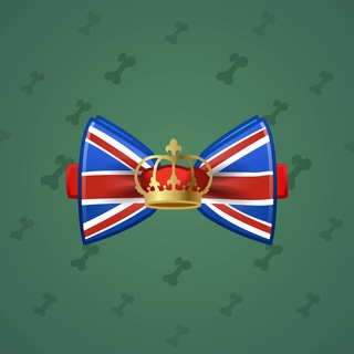 Bow Tie #43594