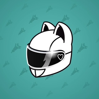 Neko Helmet #14629