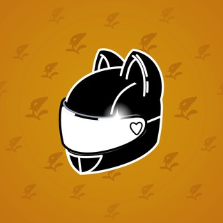 Neko Helmet #4172