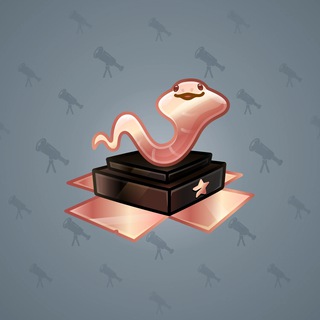 Snake Box #86843