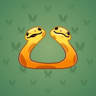 Pet Snake #11954