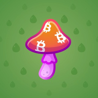 Miner’s Bloom