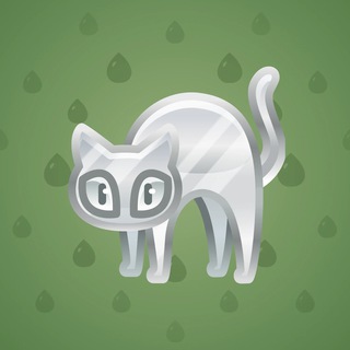 Scared Cat #9906