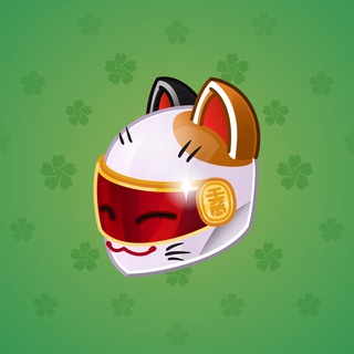 Neko Helmet #9816