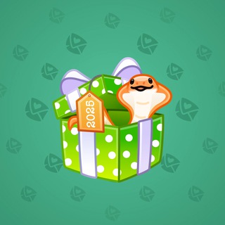 Snake Box #145243