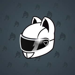 Neko Helmet #14246