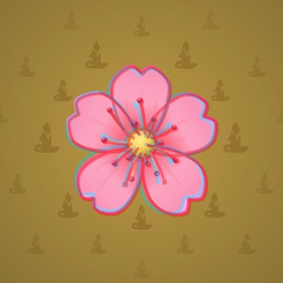 Sakura Flower #10551