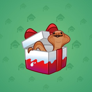 Snake Box #109291