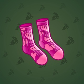 Fresh Socks #3933