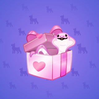 Snake Box #168298