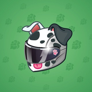 Neko Helmet #14163