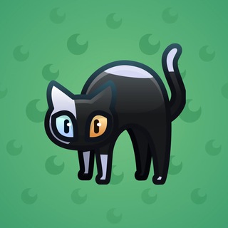 Scared Cat #2892