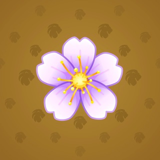 Sakura Flower #62485