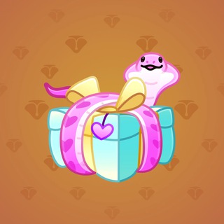 Snake Box #76138