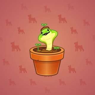 Snake Box #104297