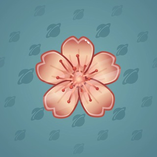 Sakura Flower #5114