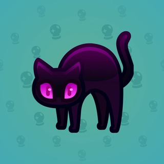 Scared Cat #2500