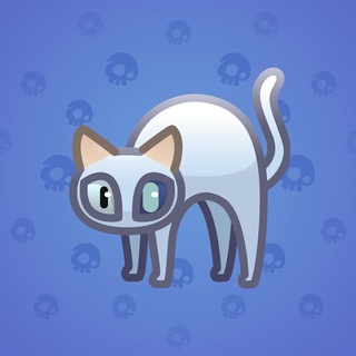 Scared Cat #11578