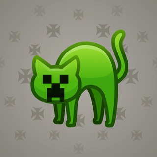 Scared Cat #12511