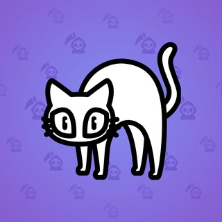 Scared Cat #637