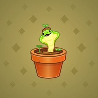 Snake Box #8233