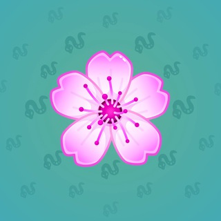 Sakura Flower #54576