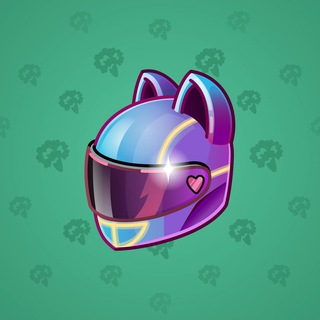 Neko Helmet #1152