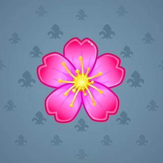 Sakura Flower #38607