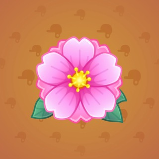 Sakura Flower #17675