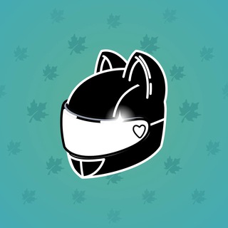 Neko Helmet #5257