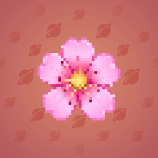 Sakura Flower #47769