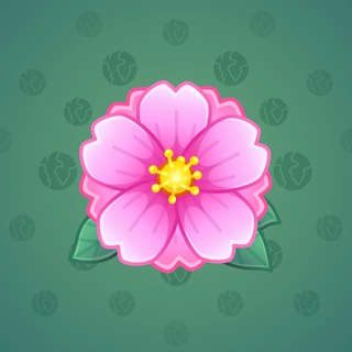 Sakura Flower #19729