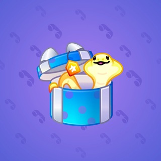 Snake Box #103733