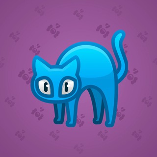 Scared Cat #12874