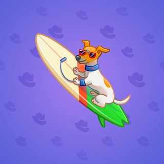 Surge Board #27904