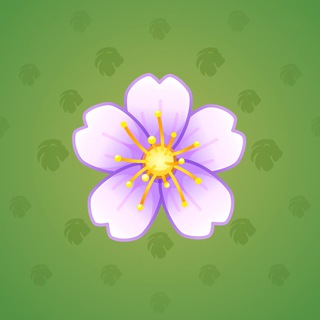 Sakura Flower #52093