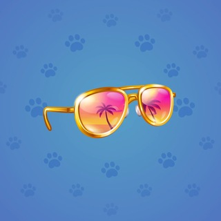 Durov’s Glasses #2868