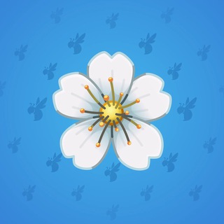 Sakura Flower #52051