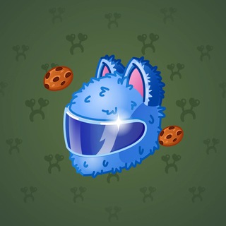 Neko Helmet #13770