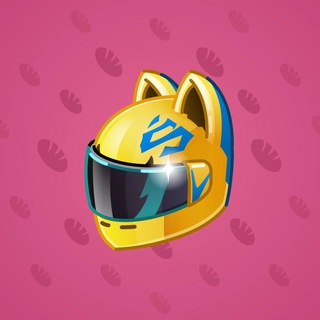 Neko Helmet #5127