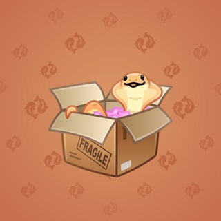 Snake Box #122279