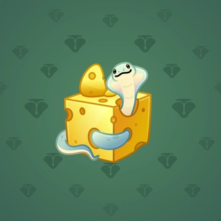 Snake Box #50072