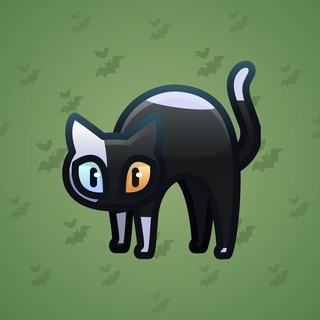 Scared Cat #14956