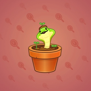 Snake Box #27988